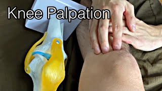 How to palpate knee English [upl. by Er]