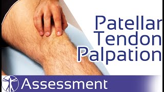 Patellar Tendon Palpation  Patellar Tendinopathy [upl. by Niltac]