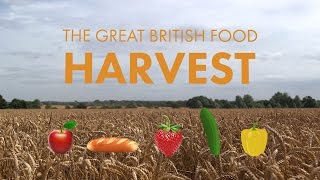 Lets Talk Farming The Great British Food Harvest [upl. by Enrak716]