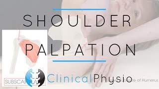 Shoulder Palpation  Clinical Physio Premium [upl. by Alodie584]