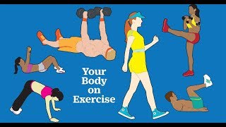 Exercise for Osteoporosis Osteopenia amp Strong Bones [upl. by Yntirb503]