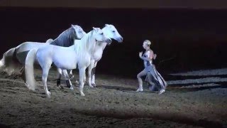 Liberty with 3 horses  Sylvia Zerbini  Night of the Horse 2016  Del Mar National Horse Show [upl. by Ariahaj939]