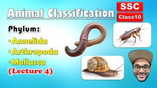 Animal Classification Lecture 4  Annelida Arthropoda Mollusca  Class 10  SSC  state board [upl. by Akienahs]