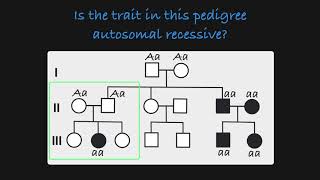 Autosomal Recessive Traits in a Pedigree [upl. by Catt]