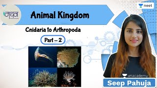 Animal Kingdom  L2  NEET 202223 Biology  Seep Pahuja [upl. by Merril]