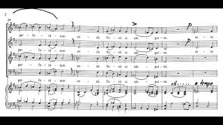 Ave verum corpus Mozart  TENOR practice [upl. by Groome]