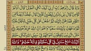 Quran Para 3 with Urdu Translation  Recitation  Mishary Rashid Alafasy [upl. by Okun]