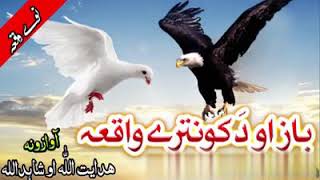 Baz Ao Kontara New Pashto Naat  Raghla Kontara Da Asmana Nabi دہ باز او د کو نترے واقعہ خئستہ نظم [upl. by Palladin]