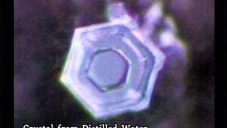 Messages From Water Full Film  Masaru Emoto  The GOYS Life [upl. by Anerual]