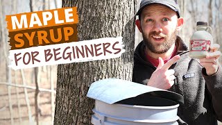 How To Make Maple Syrup Small Batch Syrup For Beginners [upl. by Sorvats587]