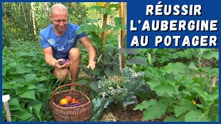 RÉUSSIR LAUBERGINE AU POTAGER ou pas [upl. by Luing]