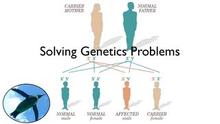 Solving Genetics Problems [upl. by Annaerda]