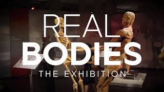 Real Bodies The Exhibition [upl. by Gautea37]