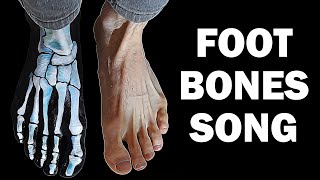 FOOT BONES SONG [upl. by Buell790]