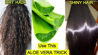 Use Aloe Vera This way To Turn Dry Hair To Shiny Hair Naturally Aloe Vera Gel For Hair Priya Malik [upl. by Acimak]