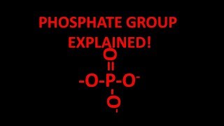 Phosphate functional group explained [upl. by Ahseid439]