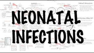 Neonatal Infections  Overview [upl. by Sheffy]