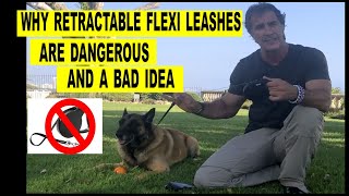 Why Retractable Flexi Leashes are Bad  Robert Cabral  Dog Training [upl. by Boj772]