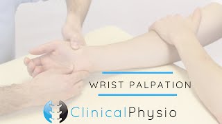 Wrist Joint Palpation  Clinical Physio [upl. by Notla]