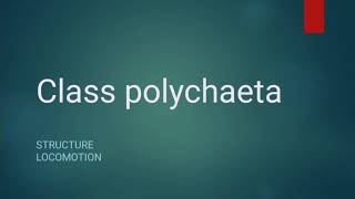 Class Polychaeta  Phylum Annelida  Lecture 1 [upl. by Cherri]