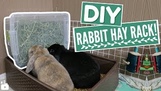 DIY RABBIT HAY BOX  small pet hay rack [upl. by Jessamine]