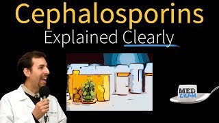 Cephalosporins  Antibiotics Explained Clearly [upl. by Lorens671]