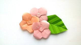 How to make Origami Hydrangea  Origami Flowers [upl. by Ilrak]