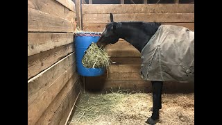 DIY 55 gallon horse hay feeder [upl. by Mukund]