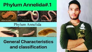 General Characteristics and classification of phylum Annelida [upl. by Ymerrej]