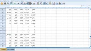 SPSS 4 Tutorial Datos perdidos y hojas de calculo en excel [upl. by O'Connell72]