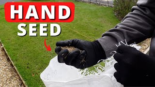 Cheapest Way To Overseed A Patchy Lawn  No Tools [upl. by Kauffman]