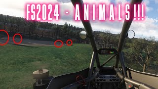 Finding ANIMALS in MSFS2024 [upl. by Allenad]