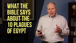 What the Bible Says About the 10 Plagues of Egypt [upl. by Simdars641]