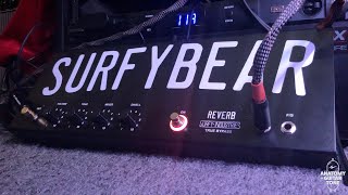 Surfy Bear Metal Analog Spring Reverb Overview [upl. by Inalak]