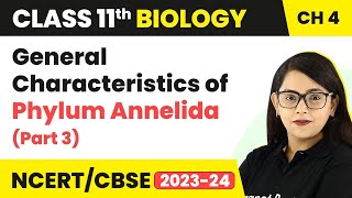 General Characteristics of Phylum Annelida Part 3  Class 11 Biology Chapter 4  NCERTCBSE [upl. by Retniw355]