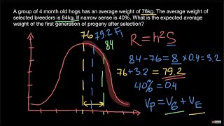 How to calculate Response to Selection [upl. by Zetta811]