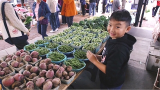 From the Field to the Farmers Market [upl. by Yelnahs]