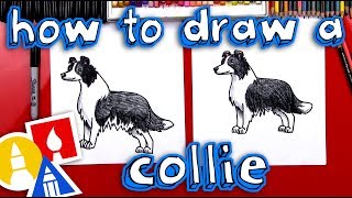 How To Draw A Border Collie [upl. by Ulises]