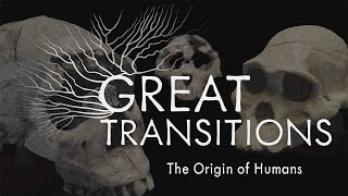 Great Transitions The Origin of Humans — HHMI BioInteractive Video [upl. by Shane585]