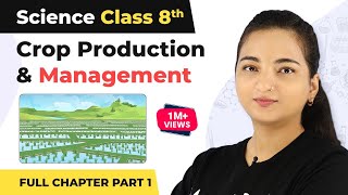 Class 8 Science Chapter 1  Crop Production amp Management Full Chapter Explanation Part 1 [upl. by Fahland]