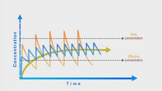 Pharmacokinetics animation Dosing Interval [upl. by Anayit]