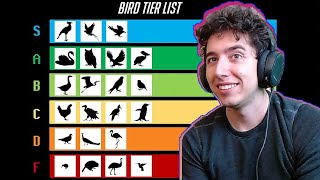 The Bird Tier List  TierZoo  Reaction [upl. by Rehportsirhc]