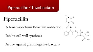 Piperacillin Tazobactam [upl. by Oiredised]