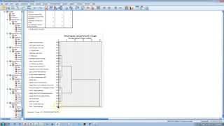 Hierarchical Cluster Analysis SPSS [upl. by Oirretno453]