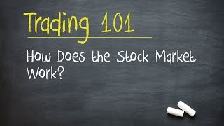 Trading 101 How Does the Stock Market Work [upl. by Belanger852]