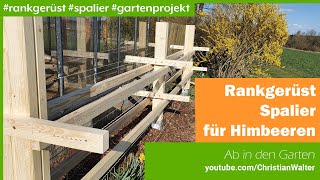 Spalier  Rankgerüst für Himbeeren aus Holz bauen [upl. by Thelma]