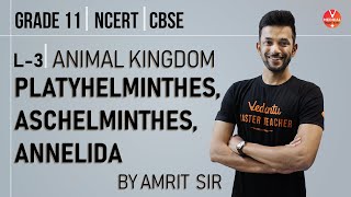 Aschelminthes Annelida  Animal Kingdom CBSE Class 11 Biology Chapter 4NCERT BiologyNEET Biology [upl. by Yesdnil968]