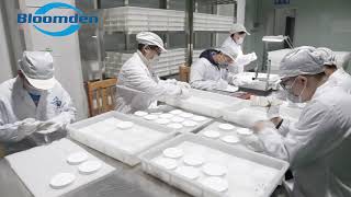 Bloomden Zirconia How its made [upl. by Asilak]