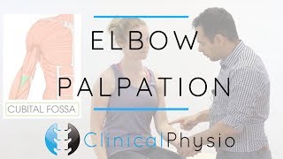 Elbow Palpation  Clinical Physio Premium [upl. by Agem]