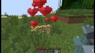 Minecraft Tutorial como tener un gato [upl. by Wessling29]